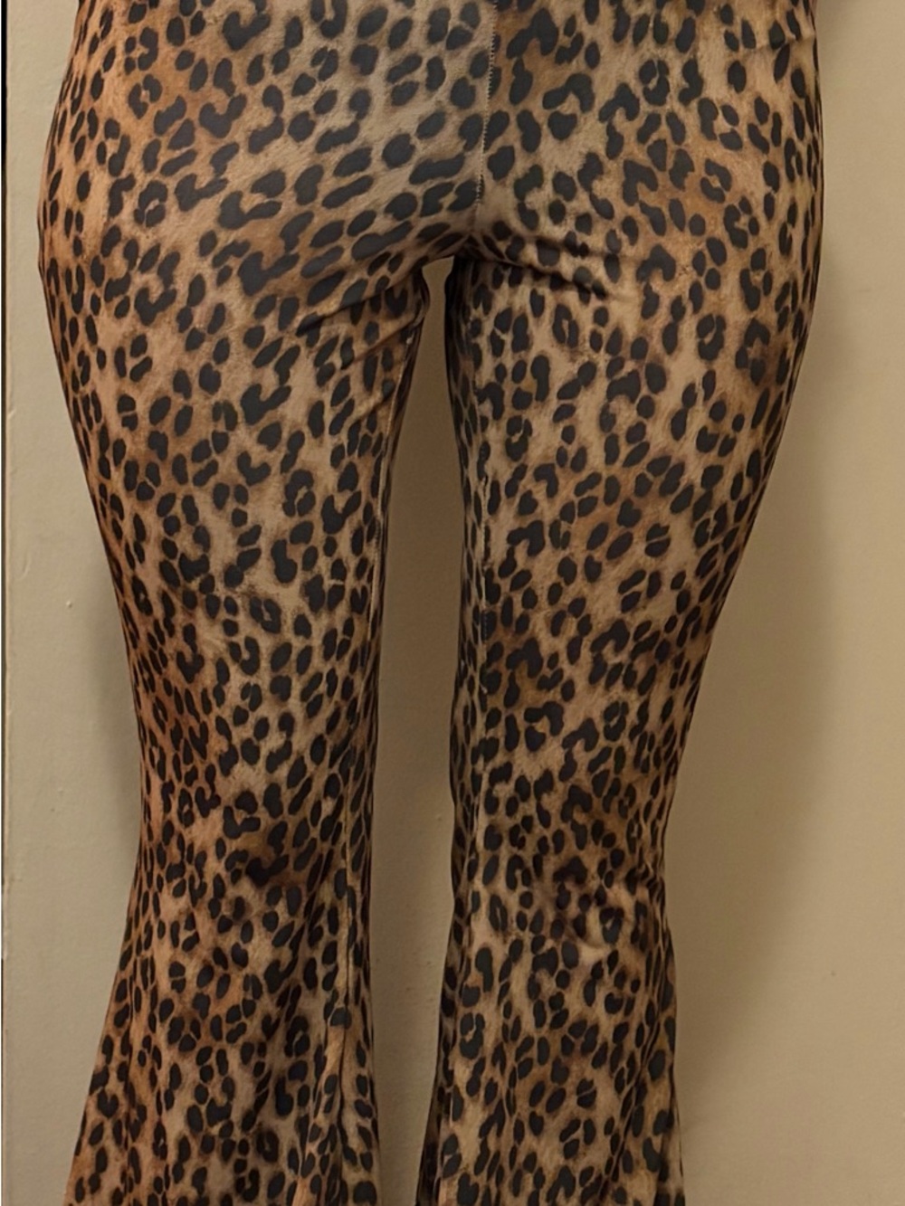 Divided Leopard-Print Flare Pants in Brown and Black